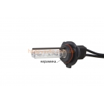 Лампа Ксенон Infolight HB4 +50% (4300К, 5000К, 6000K)